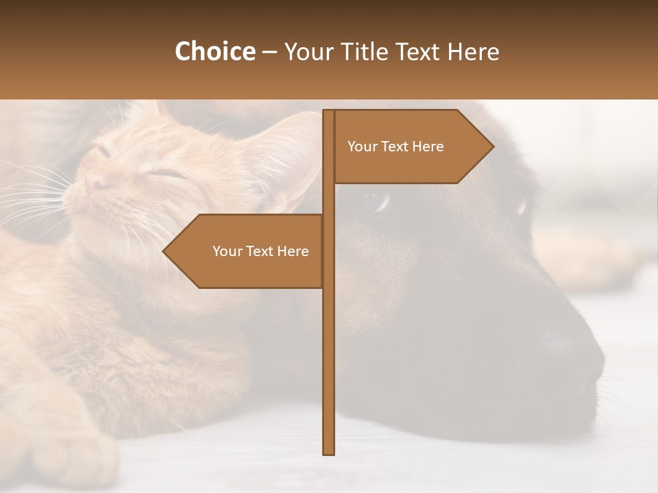 A Dog And A Cat Laying Next To Each Other PowerPoint Template