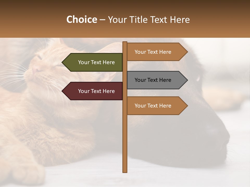 A Dog And A Cat Laying Next To Each Other PowerPoint Template