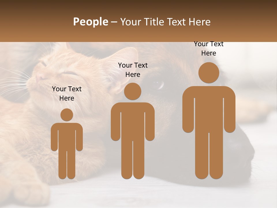 A Dog And A Cat Laying Next To Each Other PowerPoint Template