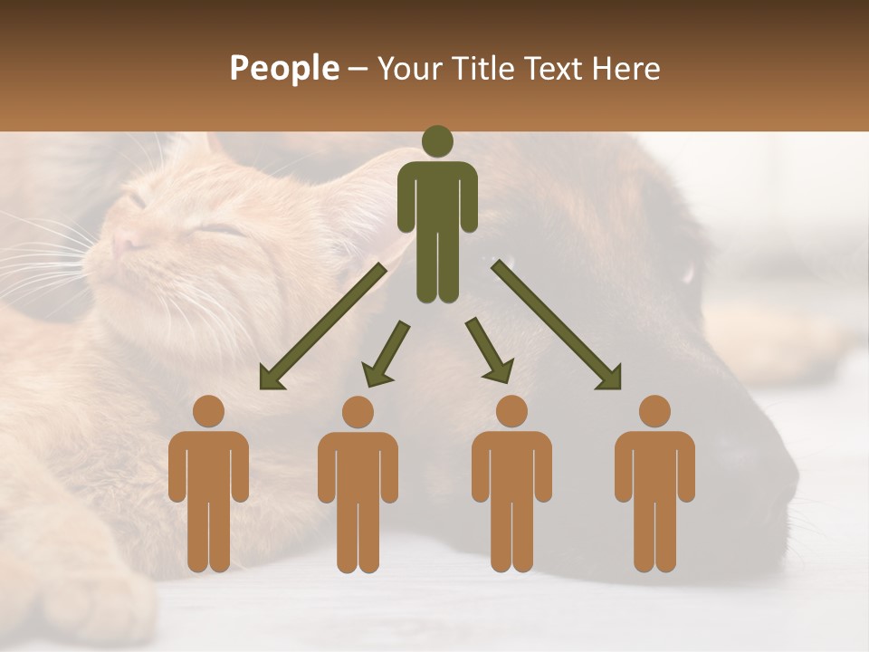 A Dog And A Cat Laying Next To Each Other PowerPoint Template