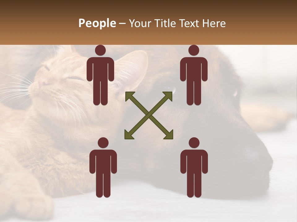 A Dog And A Cat Laying Next To Each Other PowerPoint Template