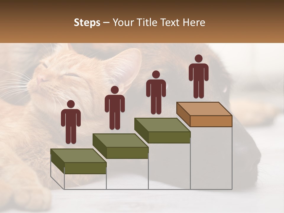 A Dog And A Cat Laying Next To Each Other PowerPoint Template