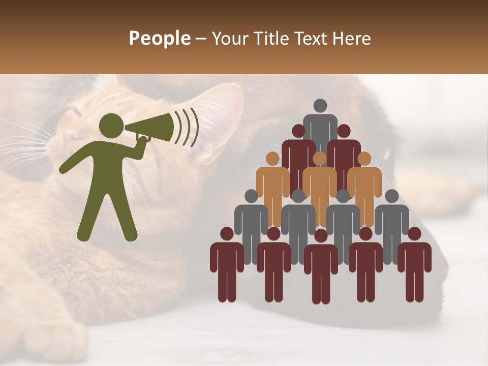 A Dog And A Cat Laying Next To Each Other PowerPoint Template