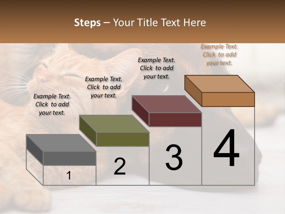 A Dog And A Cat Laying Next To Each Other PowerPoint Template