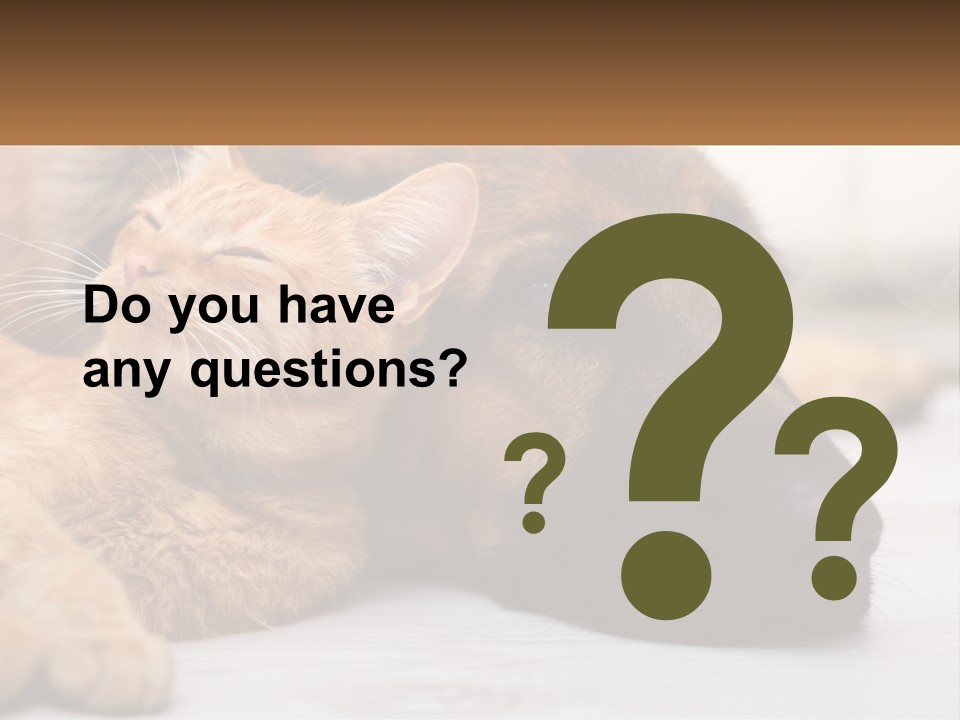 A Dog And A Cat Laying Next To Each Other PowerPoint Template