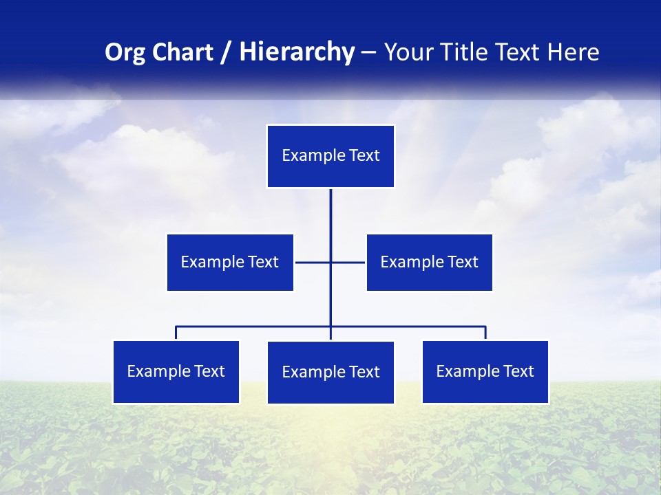 The Sun Shining Over A Field Of Crops PowerPoint Template
