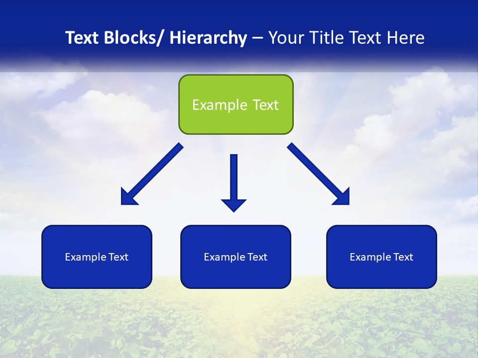 The Sun Shining Over A Field Of Crops PowerPoint Template