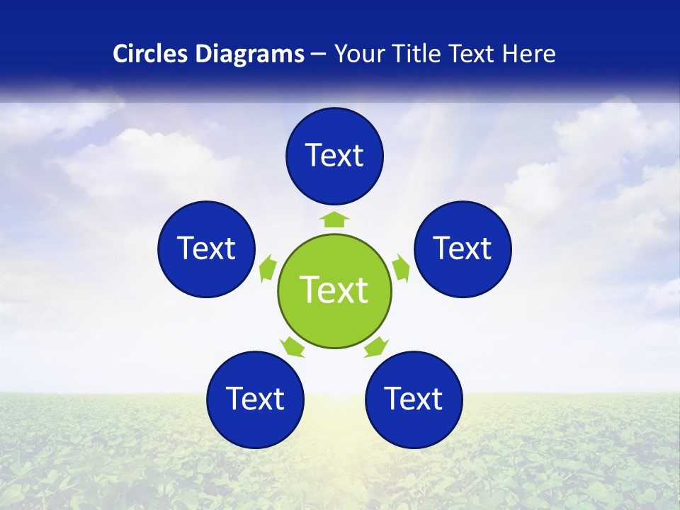 The Sun Shining Over A Field Of Crops PowerPoint Template