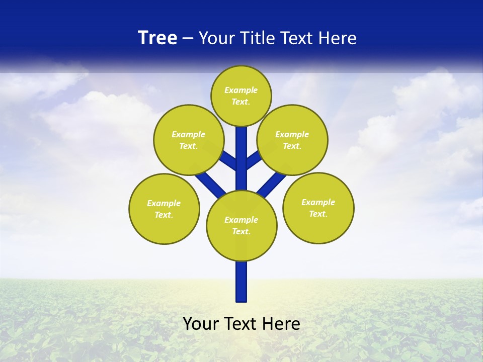 The Sun Shining Over A Field Of Crops PowerPoint Template