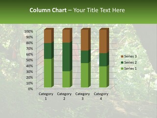 A Group Of Kids Walking On A Log In The Woods PowerPoint Template