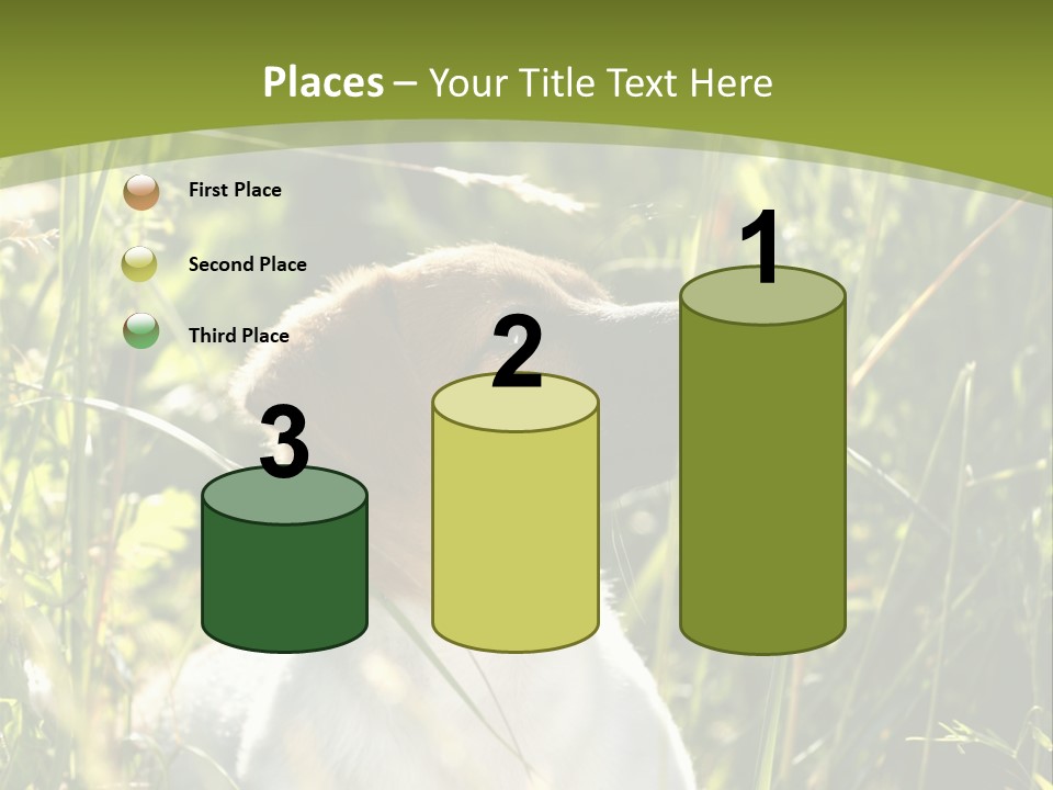 A Dog Is Sitting In The Tall Grass PowerPoint Template
