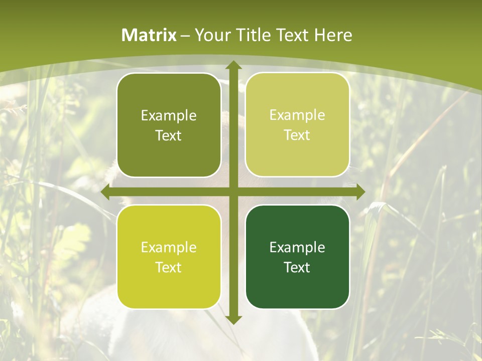 A Dog Is Sitting In The Tall Grass PowerPoint Template