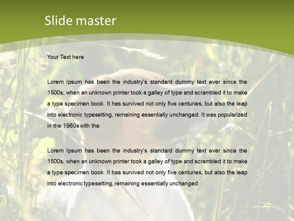 A Dog Is Sitting In The Tall Grass PowerPoint Template