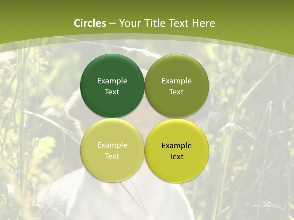 A Dog Is Sitting In The Tall Grass PowerPoint Template