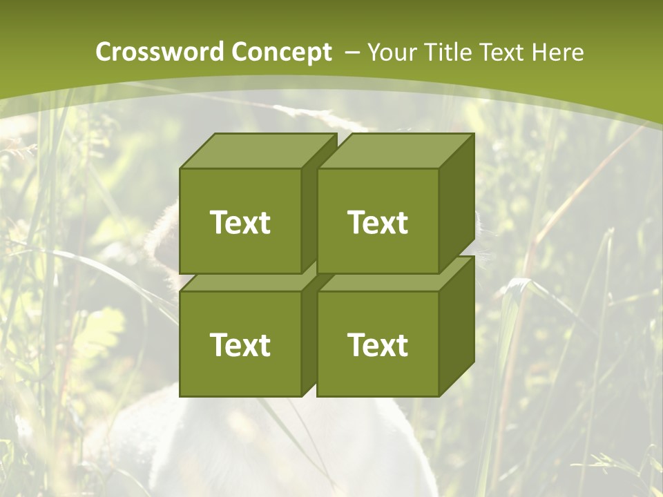 A Dog Is Sitting In The Tall Grass PowerPoint Template