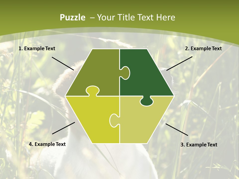 A Dog Is Sitting In The Tall Grass PowerPoint Template