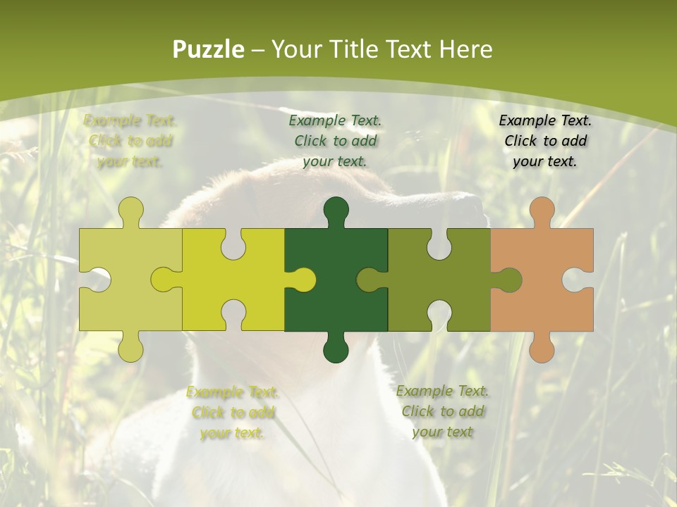 A Dog Is Sitting In The Tall Grass PowerPoint Template