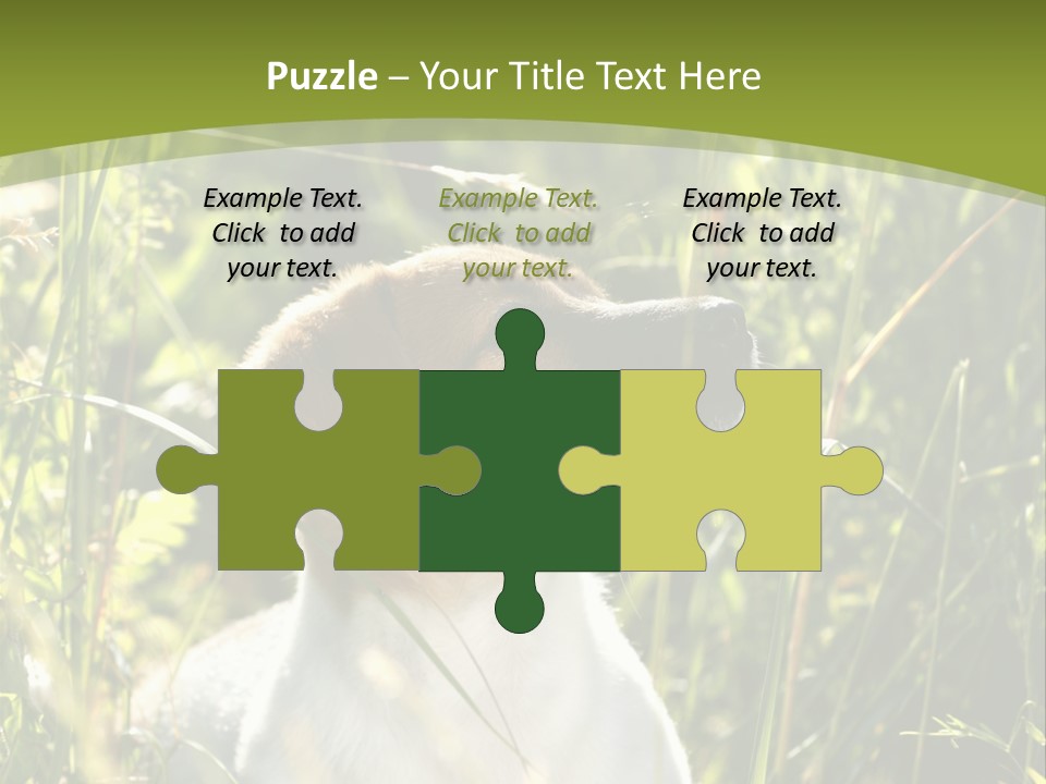 A Dog Is Sitting In The Tall Grass PowerPoint Template