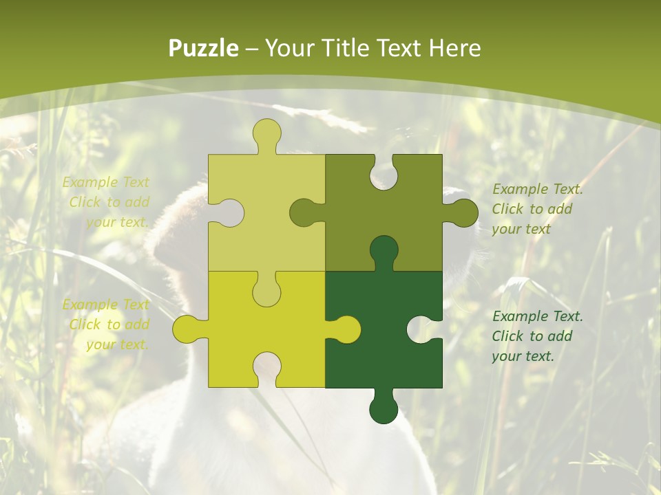 A Dog Is Sitting In The Tall Grass PowerPoint Template
