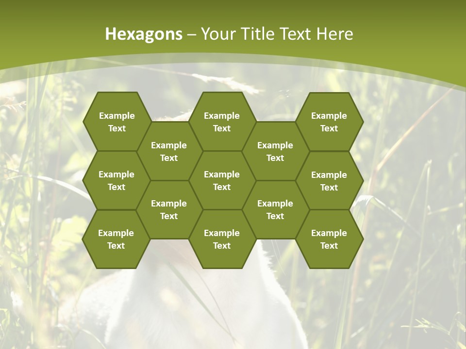 A Dog Is Sitting In The Tall Grass PowerPoint Template