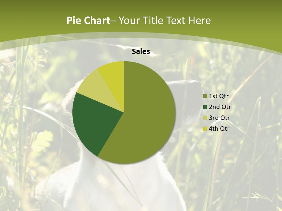 A Dog Is Sitting In The Tall Grass PowerPoint Template