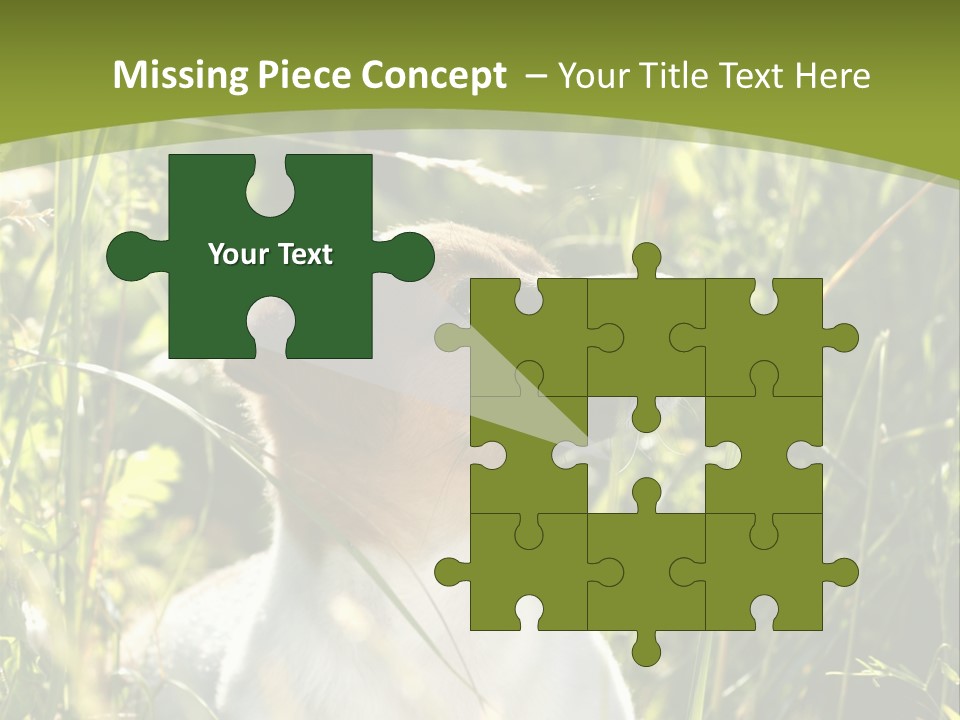 A Dog Is Sitting In The Tall Grass PowerPoint Template