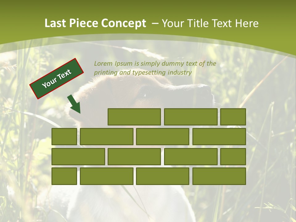 A Dog Is Sitting In The Tall Grass PowerPoint Template
