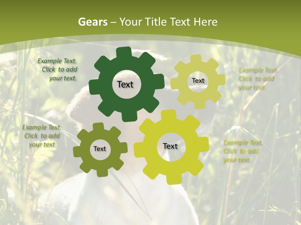 A Dog Is Sitting In The Tall Grass PowerPoint Template