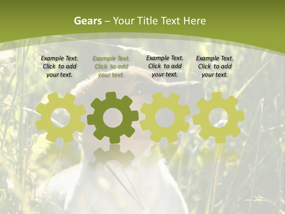 A Dog Is Sitting In The Tall Grass PowerPoint Template