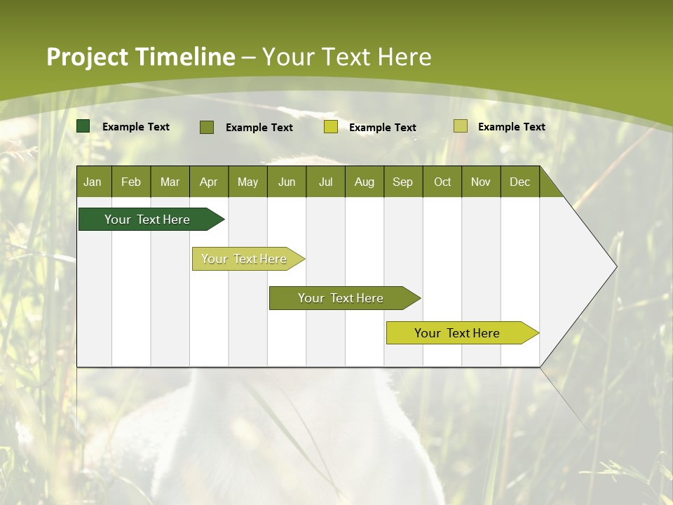 A Dog Is Sitting In The Tall Grass PowerPoint Template