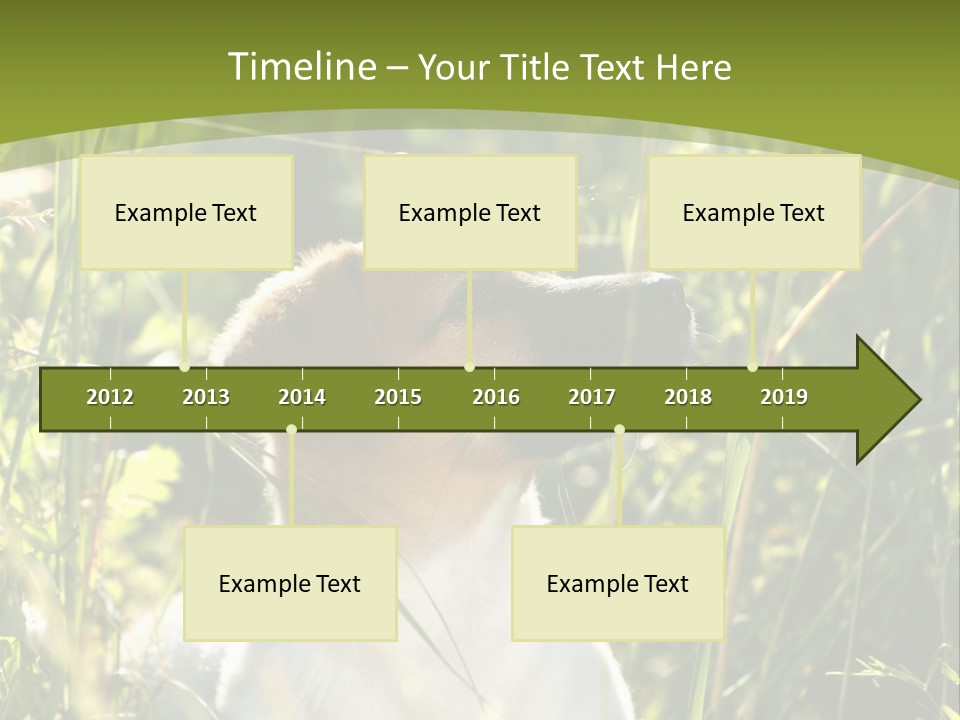 A Dog Is Sitting In The Tall Grass PowerPoint Template