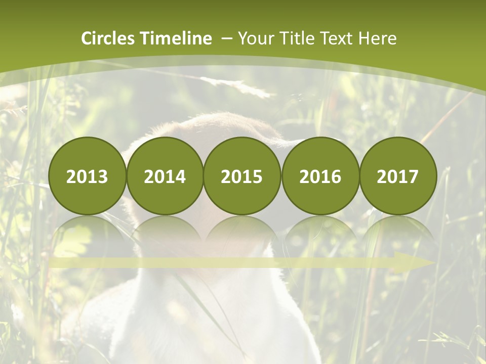 A Dog Is Sitting In The Tall Grass PowerPoint Template