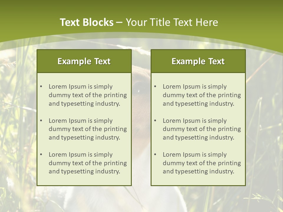 A Dog Is Sitting In The Tall Grass PowerPoint Template