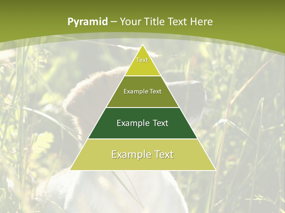 A Dog Is Sitting In The Tall Grass PowerPoint Template