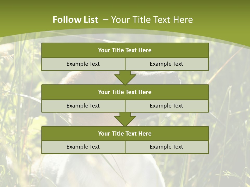 A Dog Is Sitting In The Tall Grass PowerPoint Template