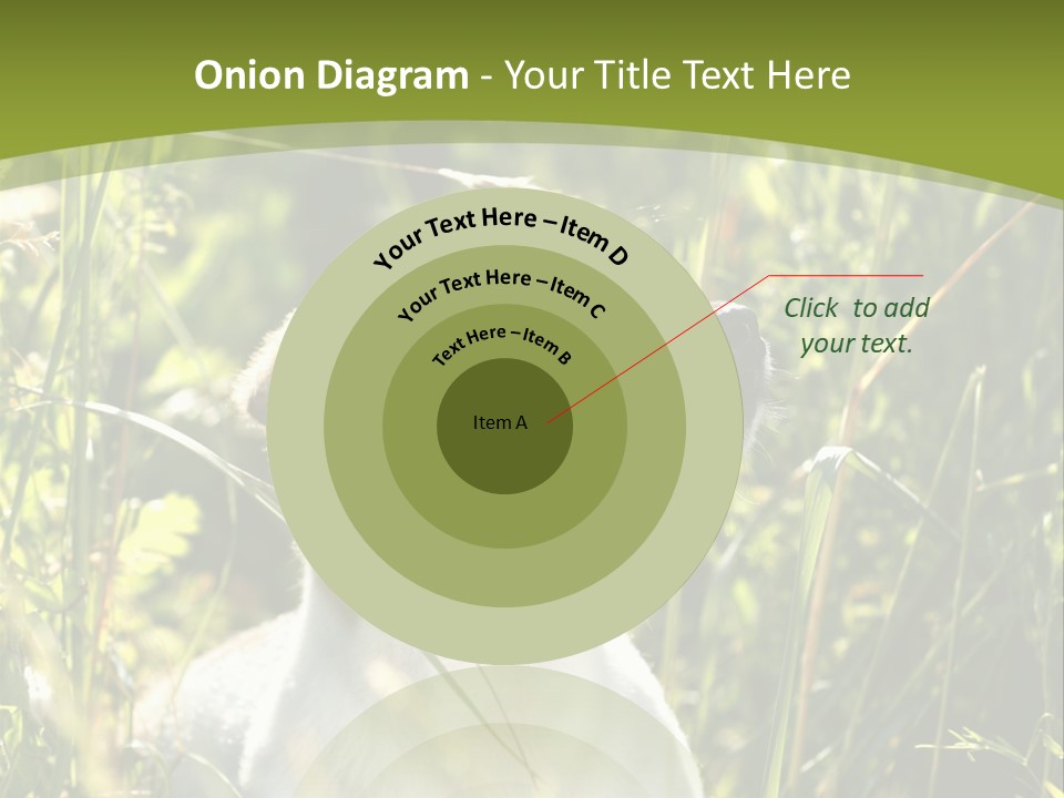 A Dog Is Sitting In The Tall Grass PowerPoint Template