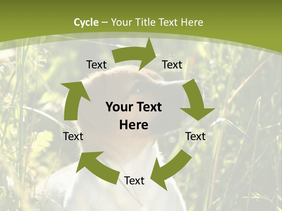 A Dog Is Sitting In The Tall Grass PowerPoint Template