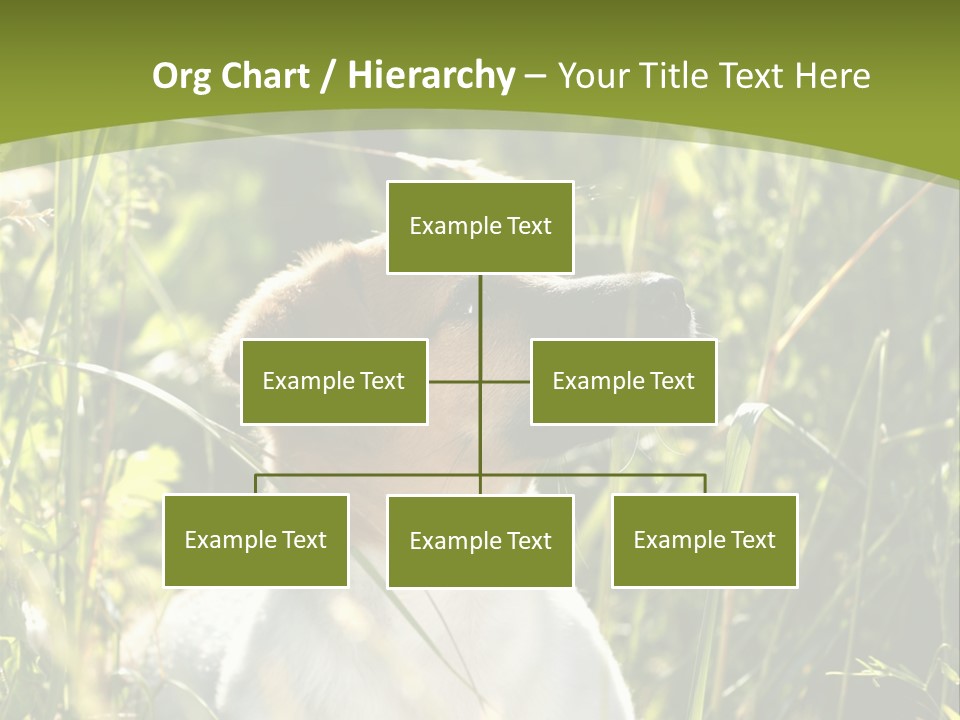 A Dog Is Sitting In The Tall Grass PowerPoint Template