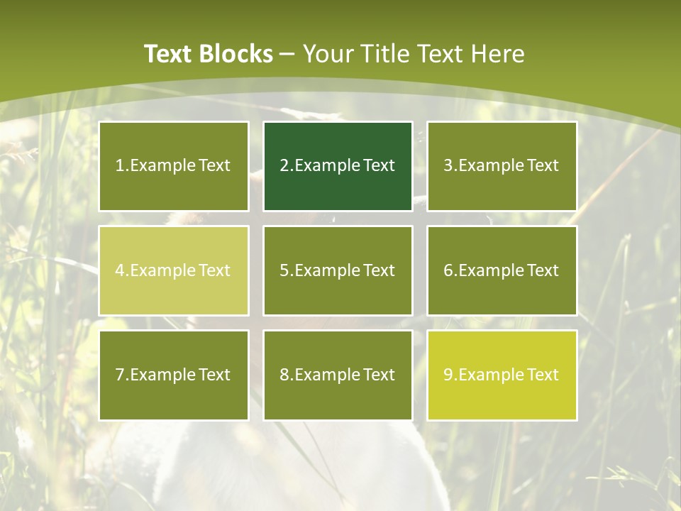 A Dog Is Sitting In The Tall Grass PowerPoint Template