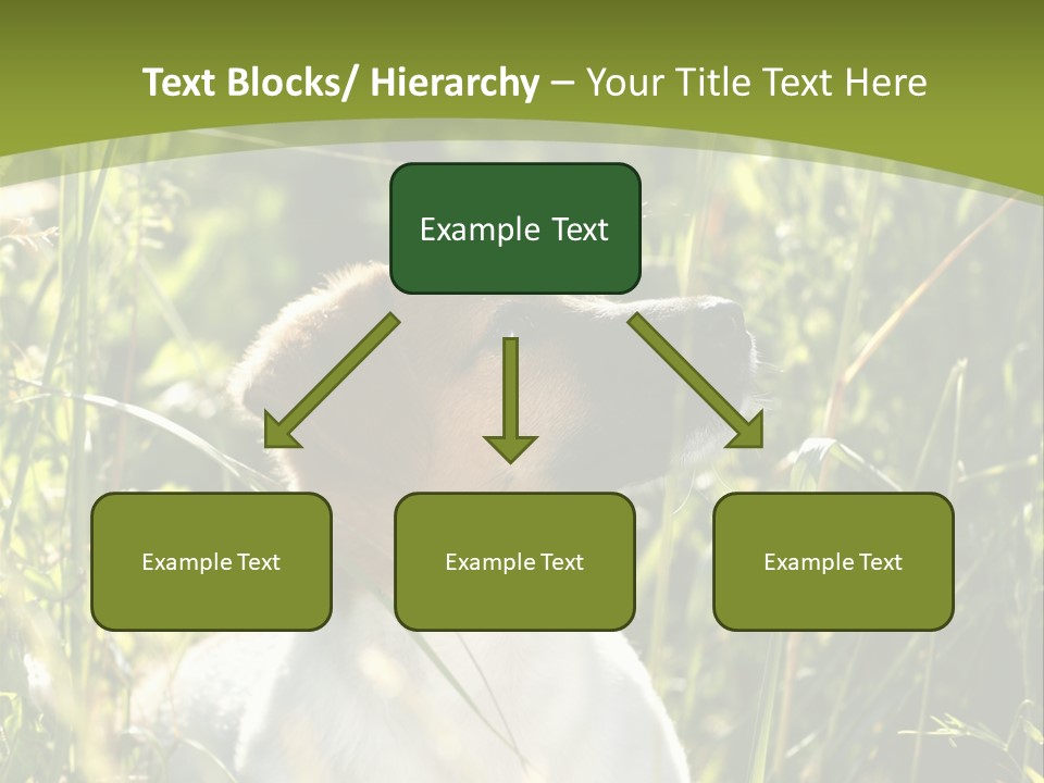 A Dog Is Sitting In The Tall Grass PowerPoint Template