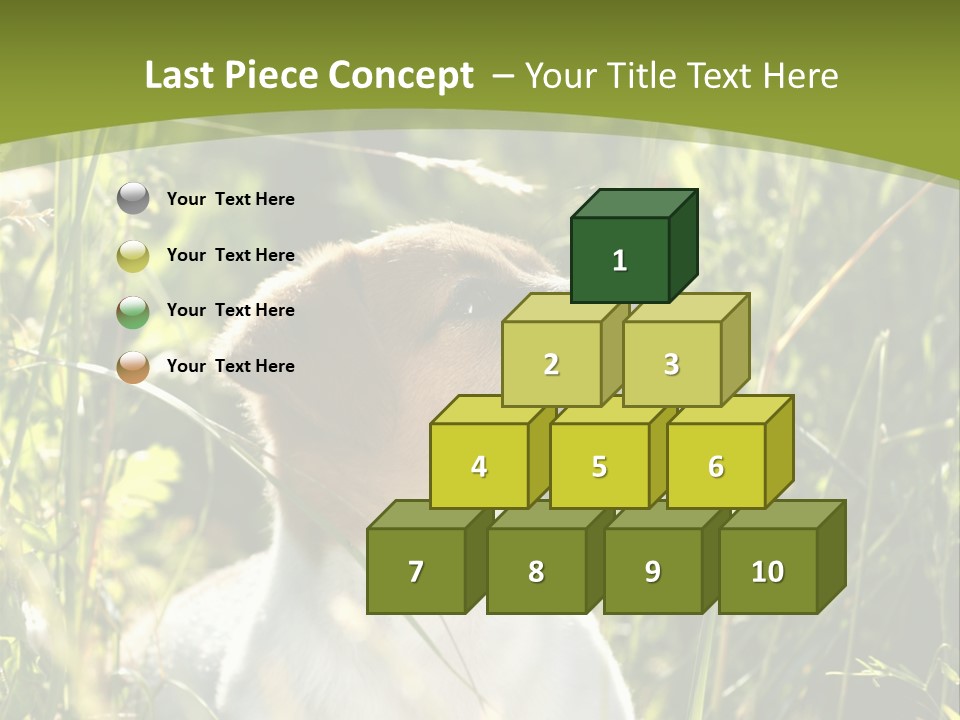 A Dog Is Sitting In The Tall Grass PowerPoint Template