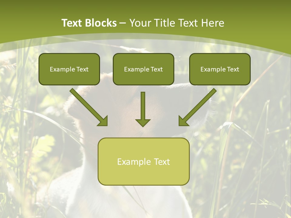 A Dog Is Sitting In The Tall Grass PowerPoint Template