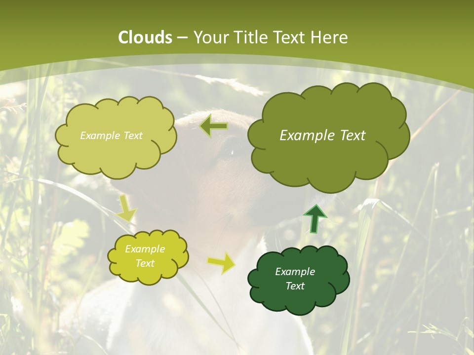 A Dog Is Sitting In The Tall Grass PowerPoint Template