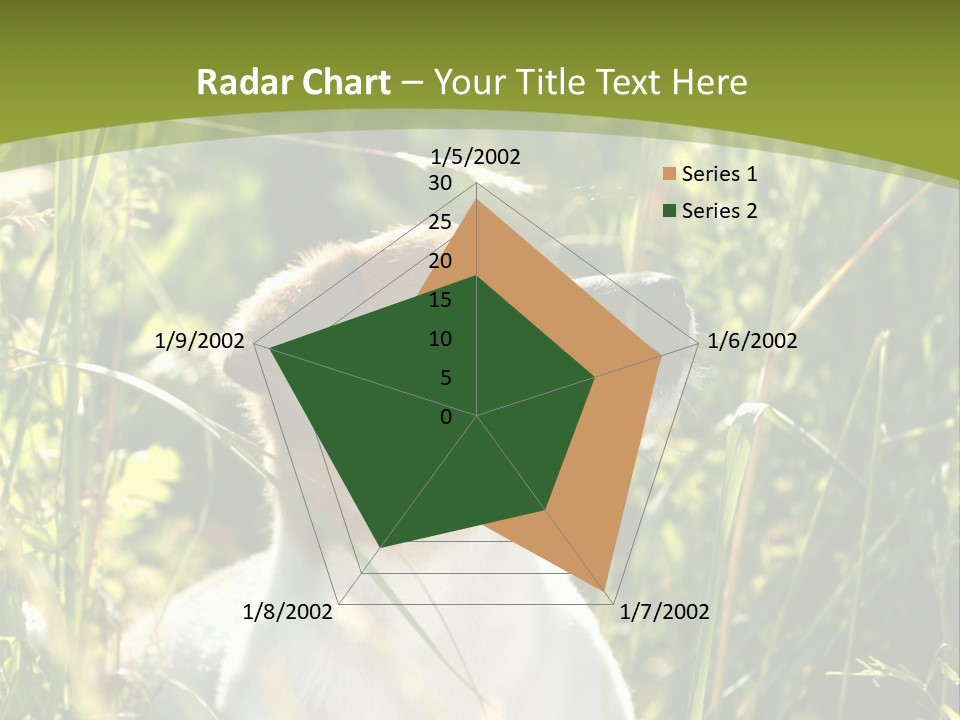 A Dog Is Sitting In The Tall Grass PowerPoint Template