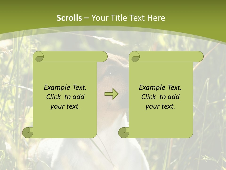 A Dog Is Sitting In The Tall Grass PowerPoint Template