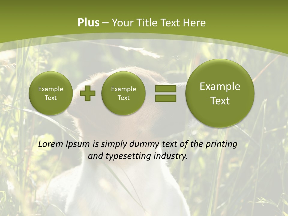 A Dog Is Sitting In The Tall Grass PowerPoint Template