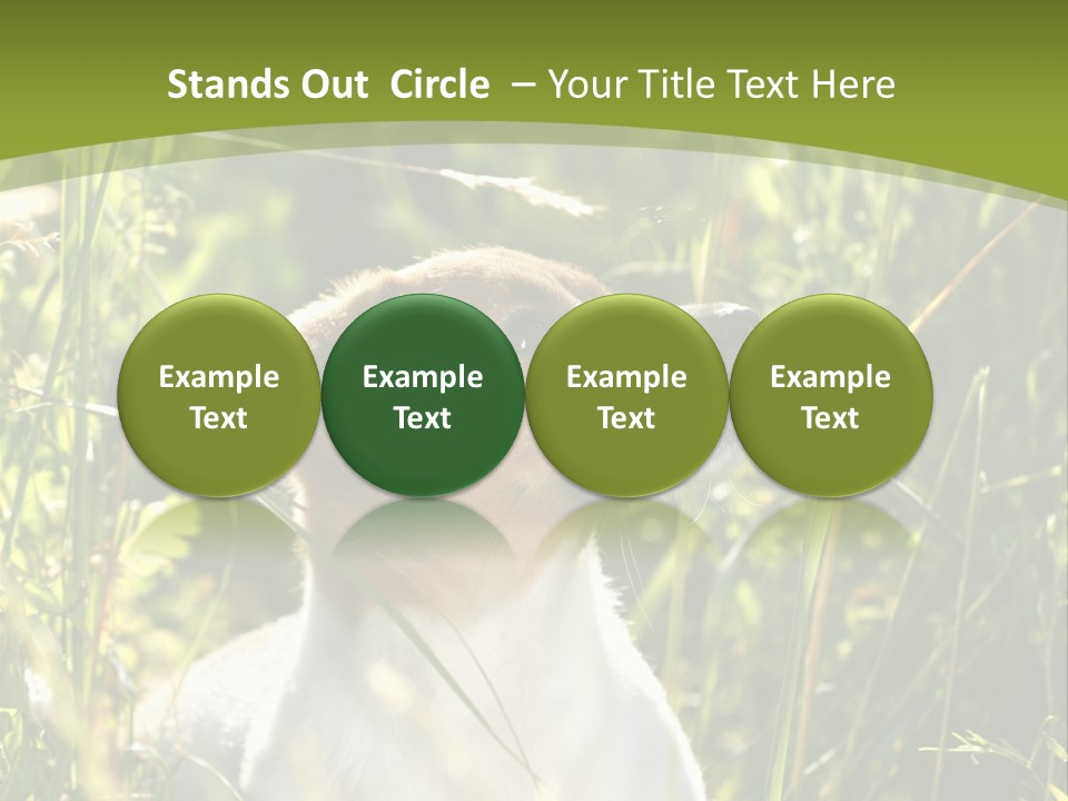 A Dog Is Sitting In The Tall Grass PowerPoint Template