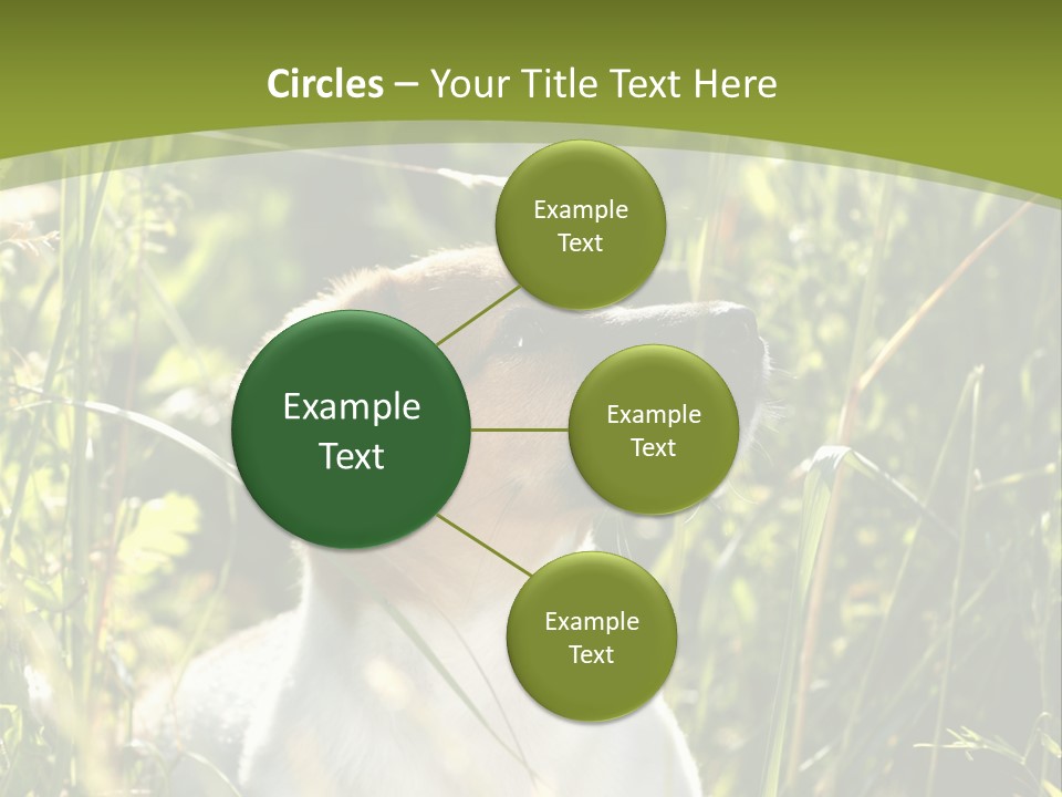 A Dog Is Sitting In The Tall Grass PowerPoint Template