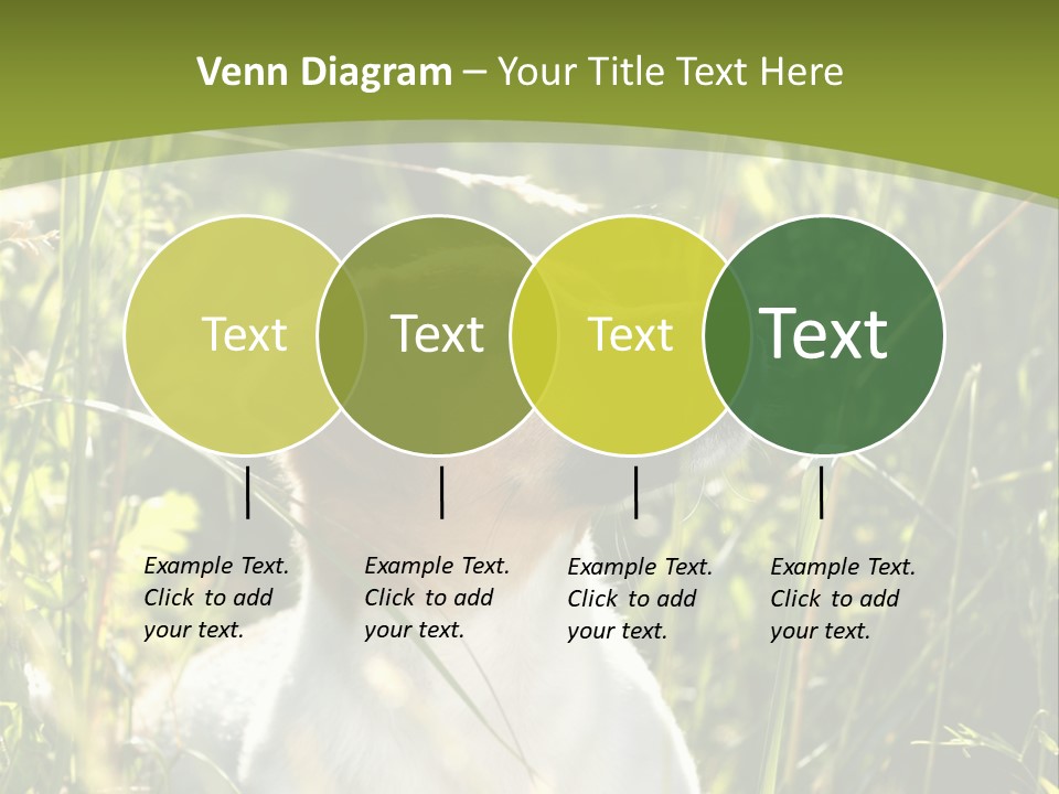 A Dog Is Sitting In The Tall Grass PowerPoint Template