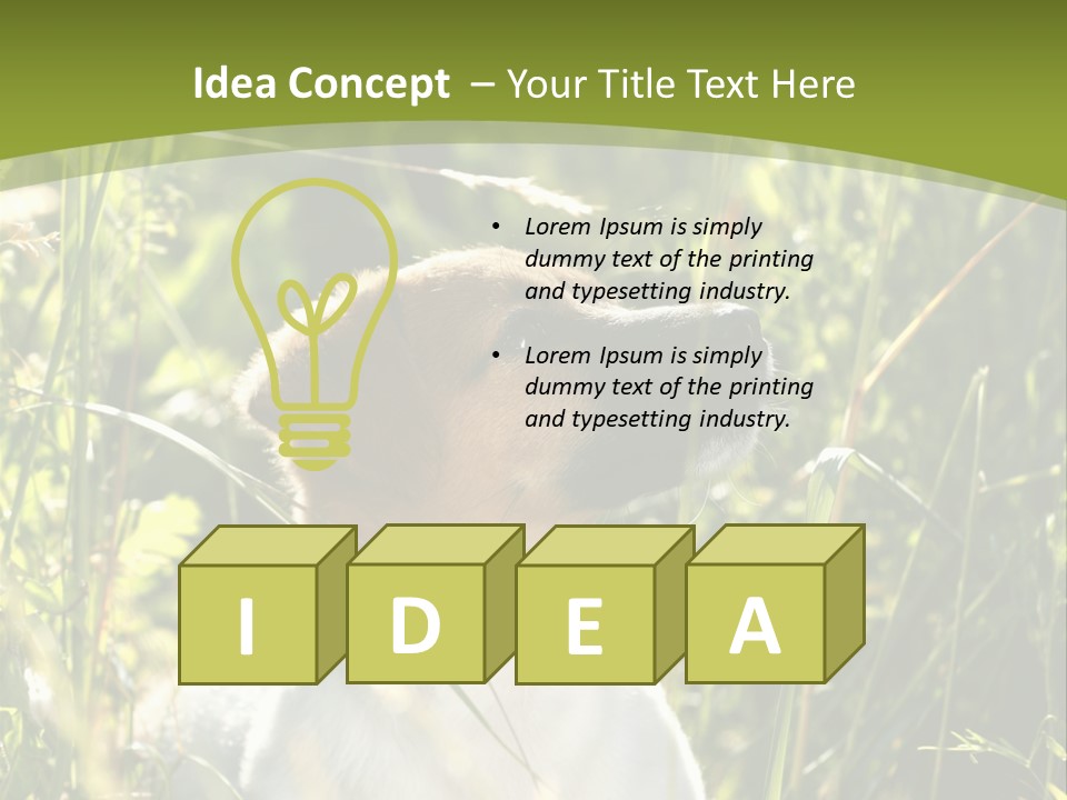 A Dog Is Sitting In The Tall Grass PowerPoint Template